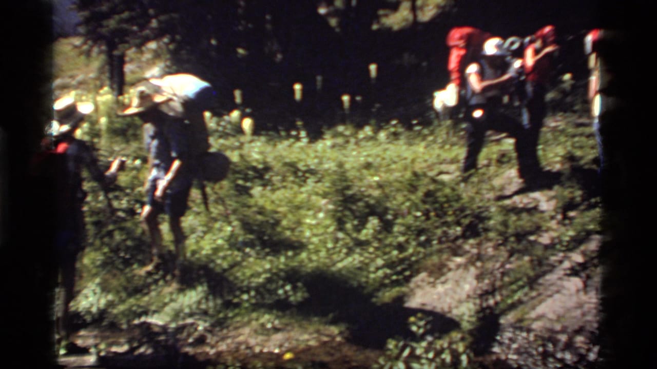 Hikers with backpacks step across uneven brush and rocky ground.
