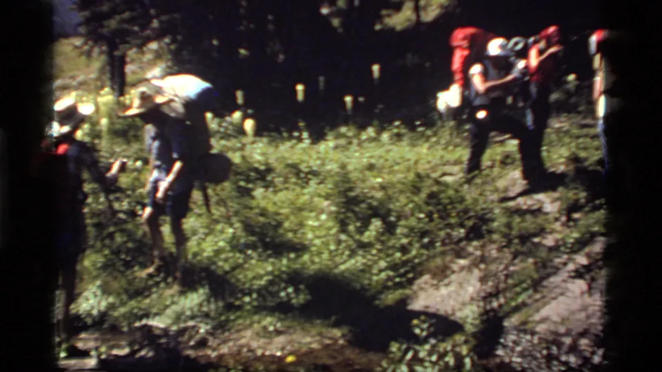 A group of backpackers appears on a wooded Montana trail, with strong sunlight cutting across vegetation and rocks.