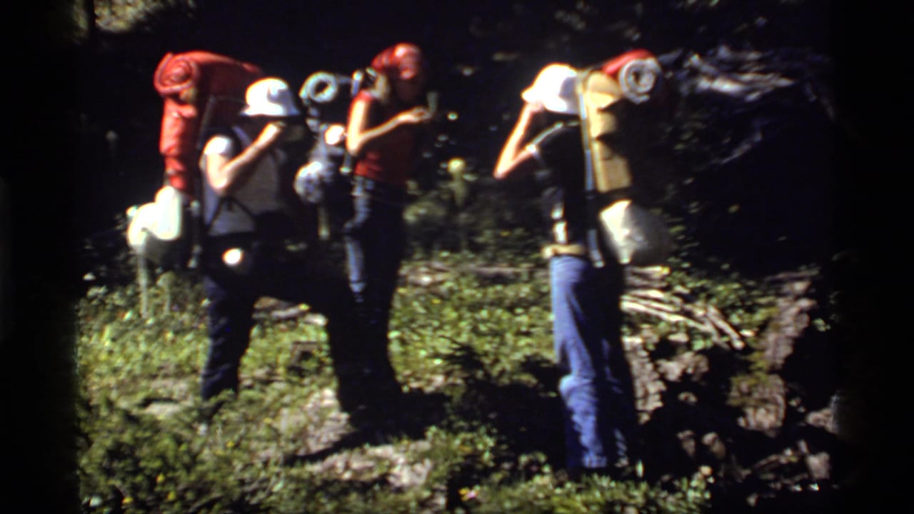 Three backpackers pause near rocks and trees on a grassy trail.