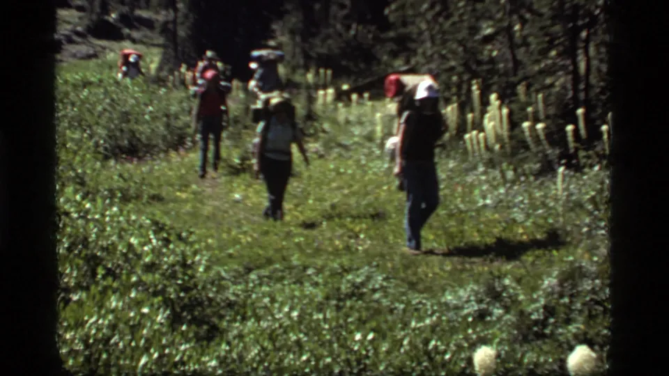 Backpackers move along a grassy Sapphire Lake forest trail, with more hikers visible farther ahead.