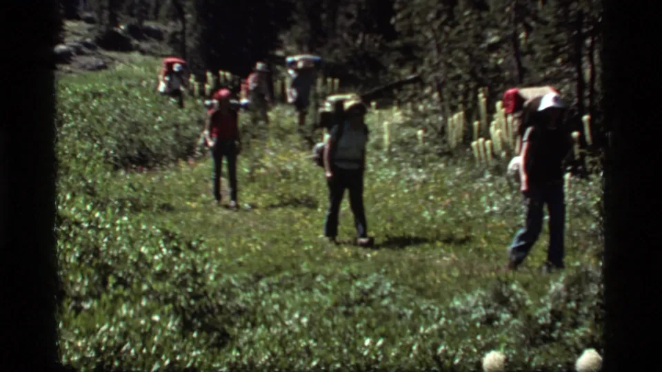 A 1977 hiking group spreads out along a forest path in Sapphire Lake, Montana, carrying large packs.