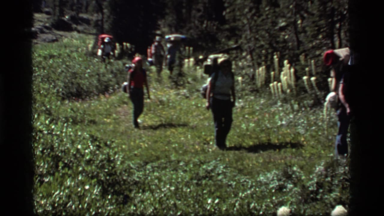 Hikers with backpacks walk along a grassy forest trail bordered by tall white wildflowers.