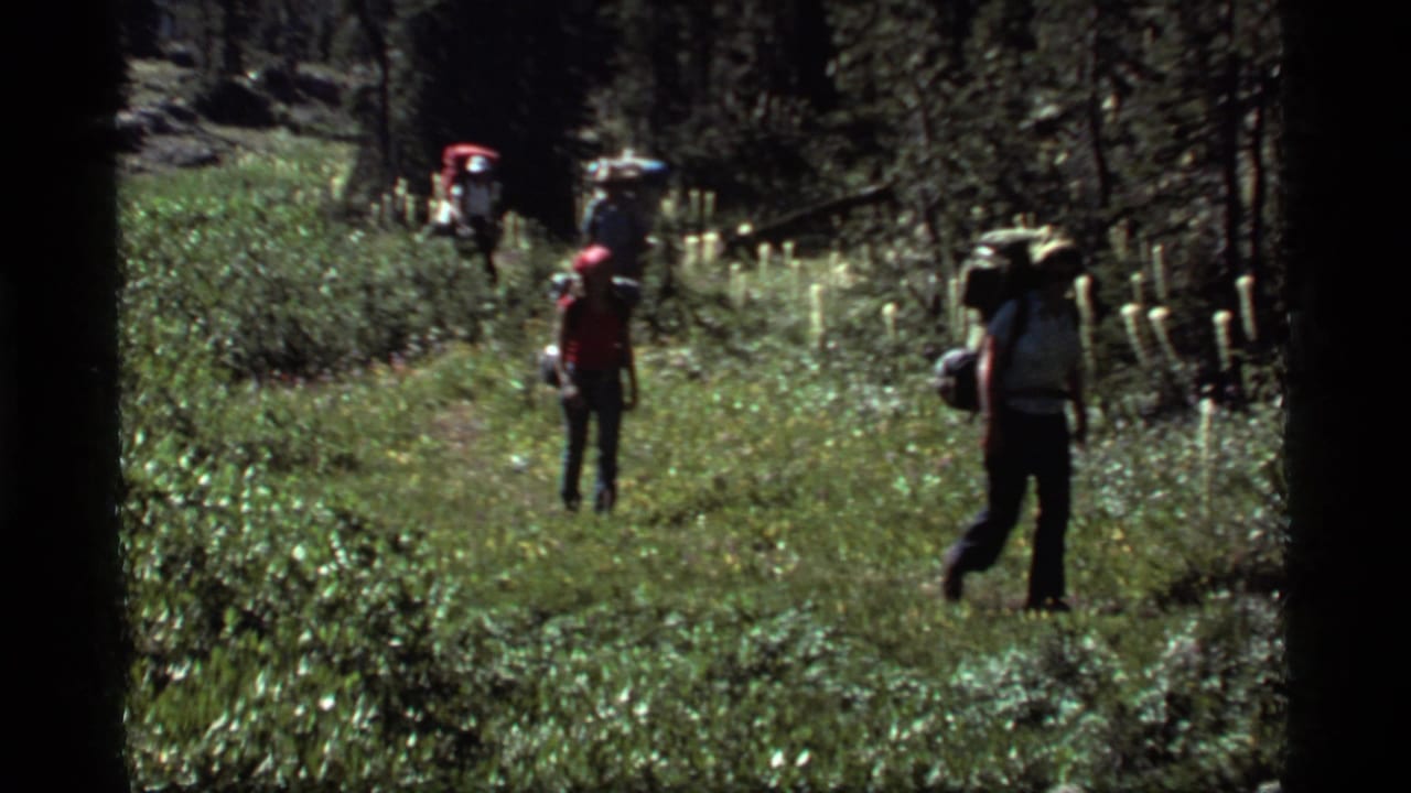 A red-shirted hiker and another backpacker appear on a grassy Montana forest trail in 1977 8mm footage.