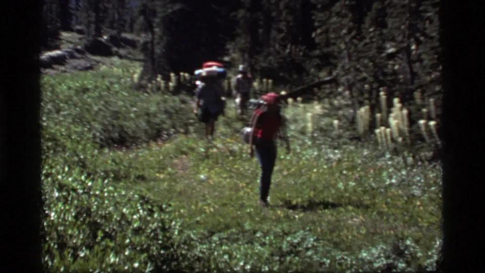A hiker in a red shirt walks toward the handheld camera while backpackers continue through the Sapphire Lake forest trail.