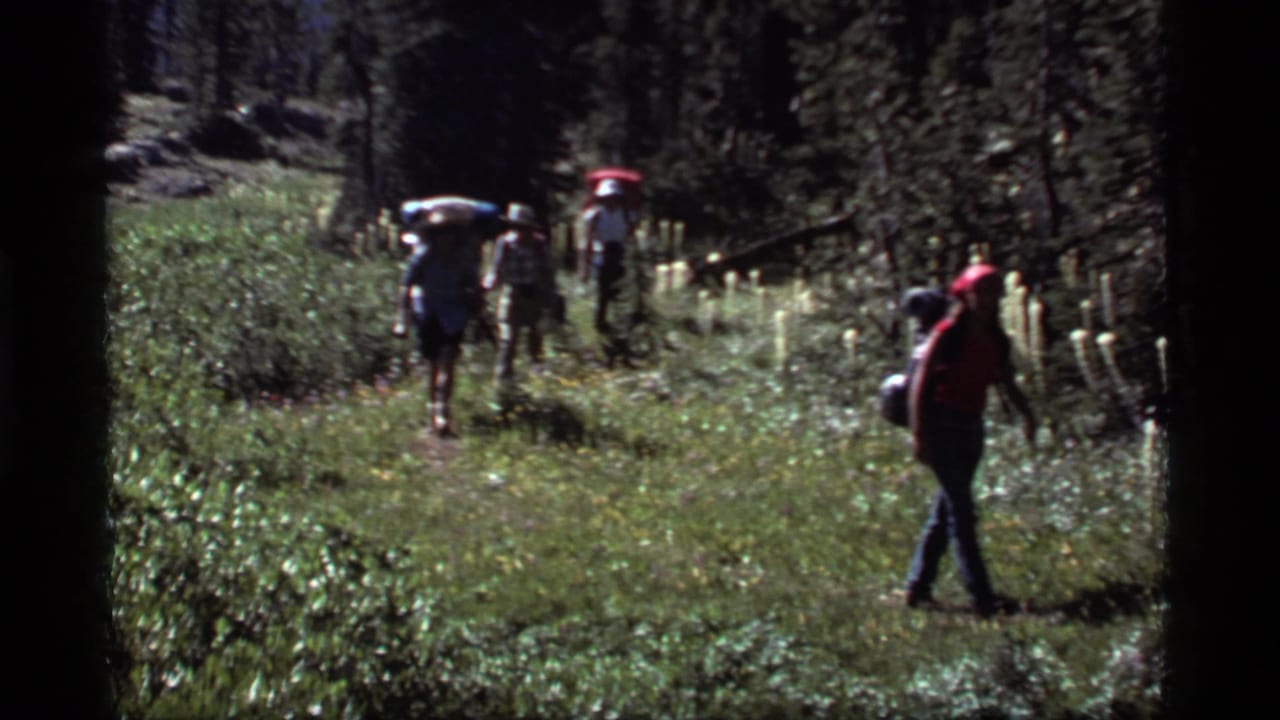 1977 Montana home-movie frame showing backpackers moving along a sunlit forest trail near Sapphire Lake, with trees and wildflowers around them.