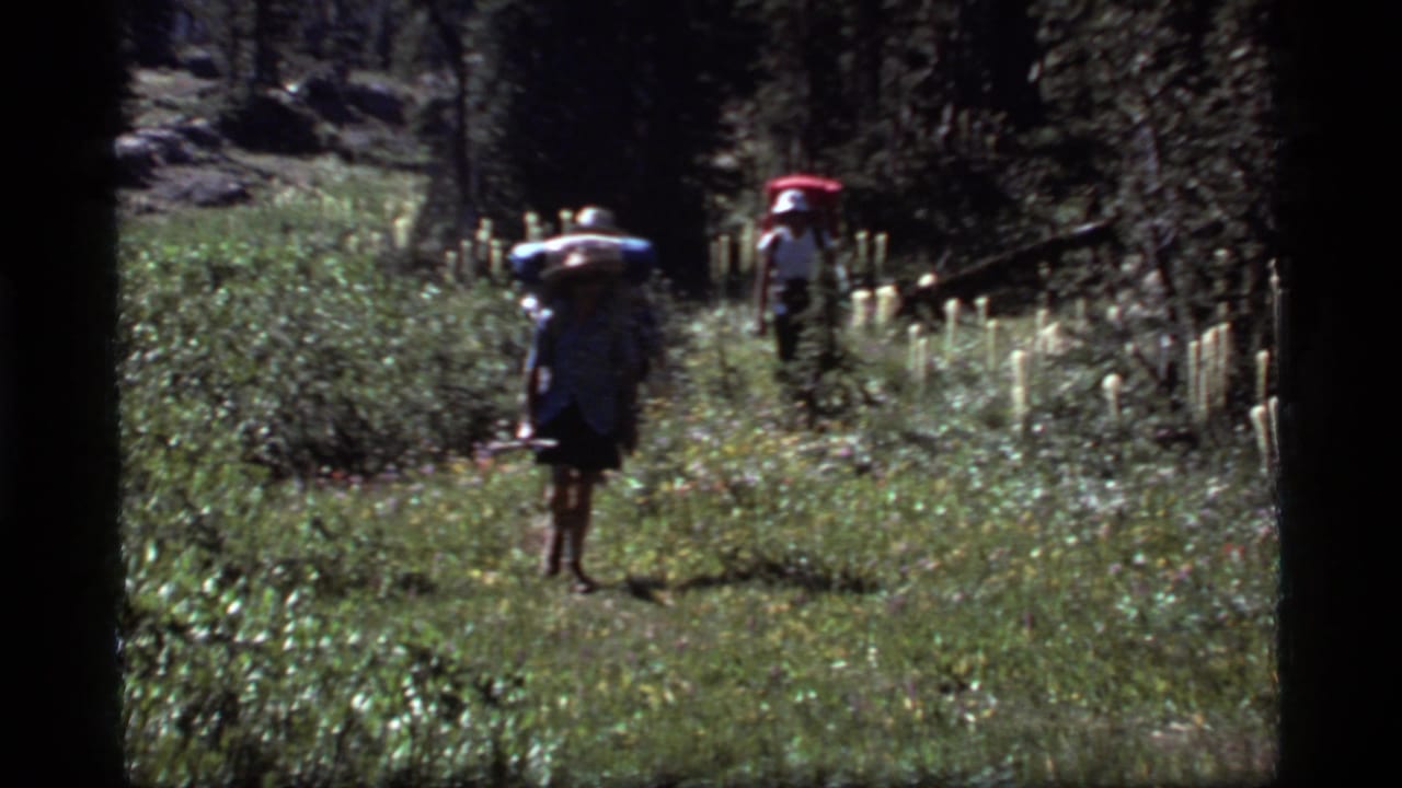 A backpacked hiker in a brimmed hat walks toward the camera on a green forest path.