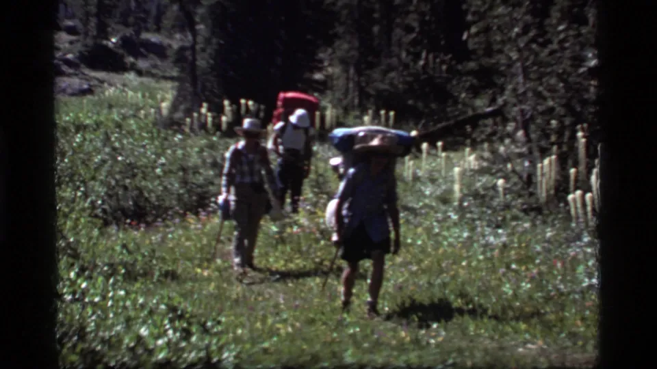 Backpackers in hats and outdoor clothing walk through a bright forest clearing near Sapphire Lake, Montana, in 1977 8mm footage.