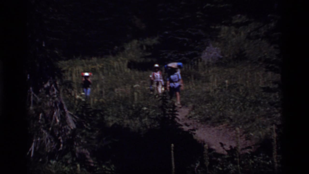 Several backpackers walk along a shaded forest trail bordered by tall grass.