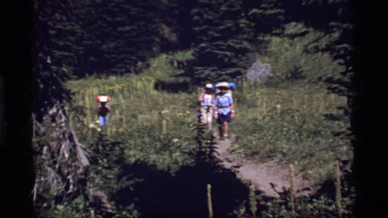 Backpackers in a wooded Sapphire Lake, Montana setting walk through sun and shade on a narrow trail in 1977 home-movie footage.