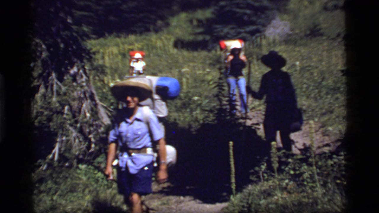 Hikers with backpacks move along a sunlit forest trail.
