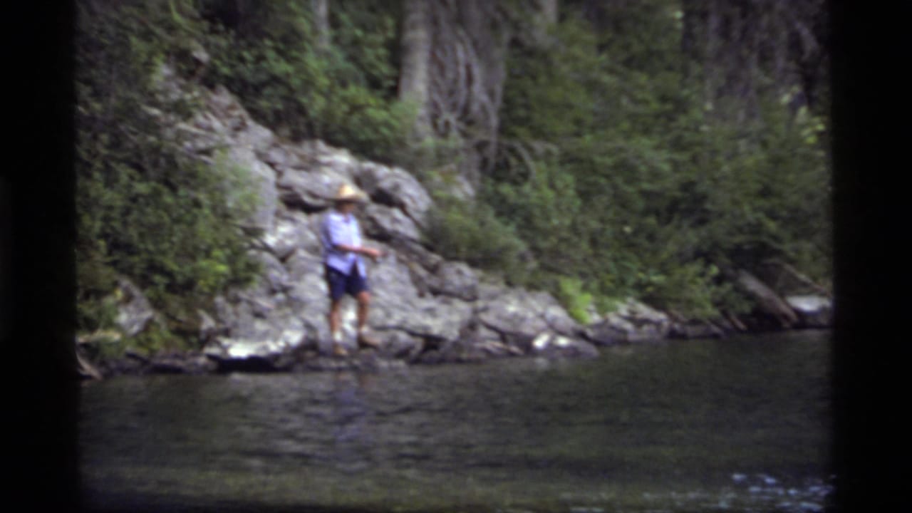 Person fishing from a rocky shoreline beside calm forest water.