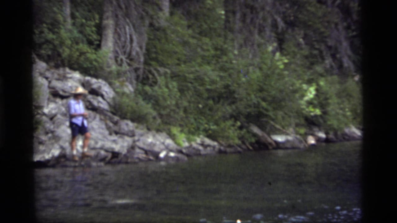 The fisher remains near the rocky bank, framed by dark water and dense forest in the 8mm Montana scene.