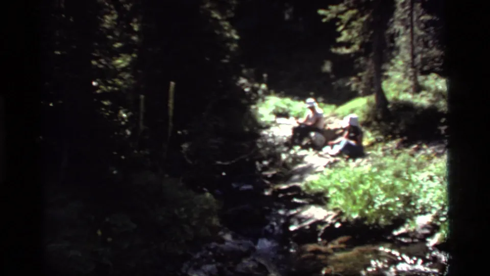Two figures sit near a sunlit forest edge with dark trees and water nearby in the Sapphire Lake area footage.