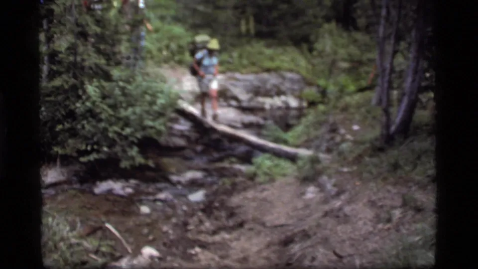 A hiker moves across a fallen log over a shallow stream on a forest trail near Sapphire Lake, Montana.