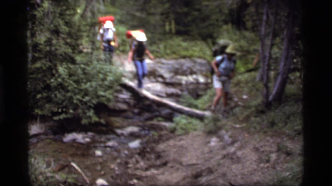 Hikers cross near a fallen log over a stream in a wooded trail setting.