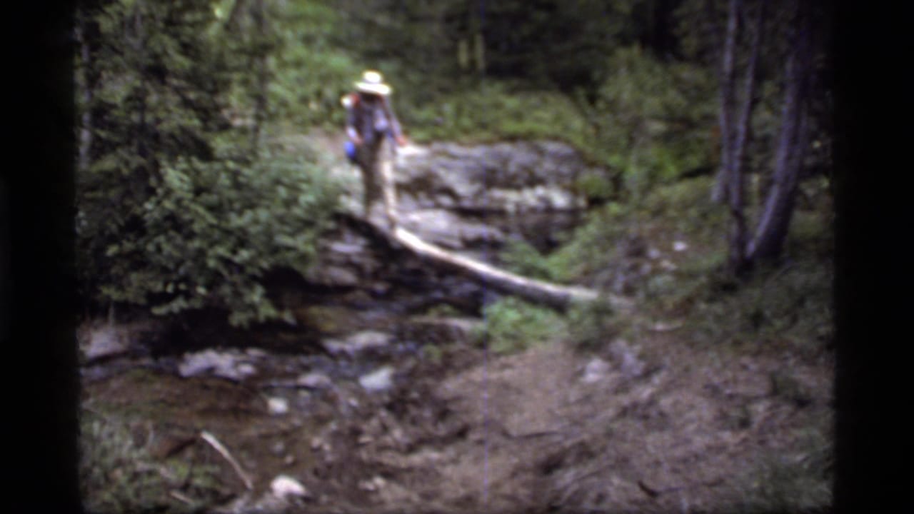 Hiker with backpack approaches a fallen log crossing over a forest stream.