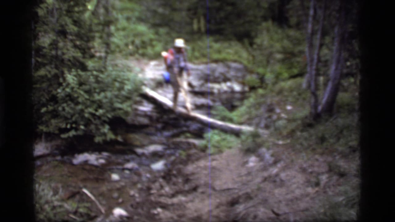 A backpacked hiker crosses a fallen log over a stream in the forest at Sapphire Lake, Montana, in 1977 home-movie footage.