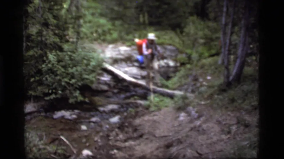 Soft 8mm frame of a backpacked hiker negotiating a fallen log crossing in a wooded Sapphire Lake trail setting.