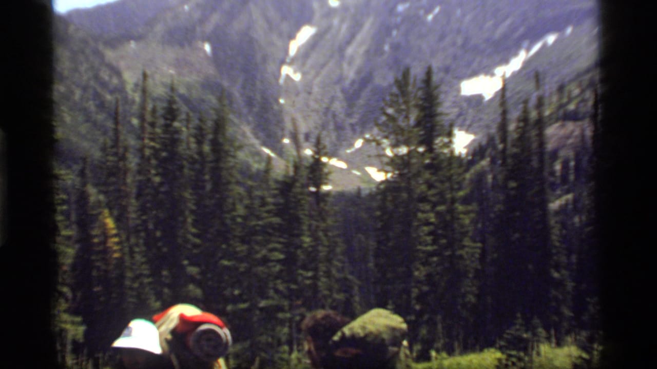 1977 Montana 8mm frame showing tourists seen from behind at a forested mountain overlook with snow patches on distant peaks.