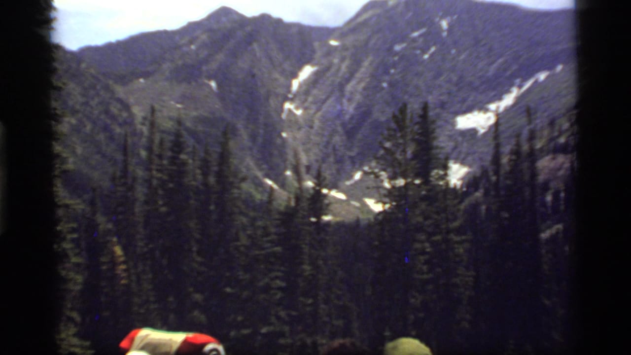 Evergreen trees and distant mountain slopes frame partial visitors at the bottom edge.