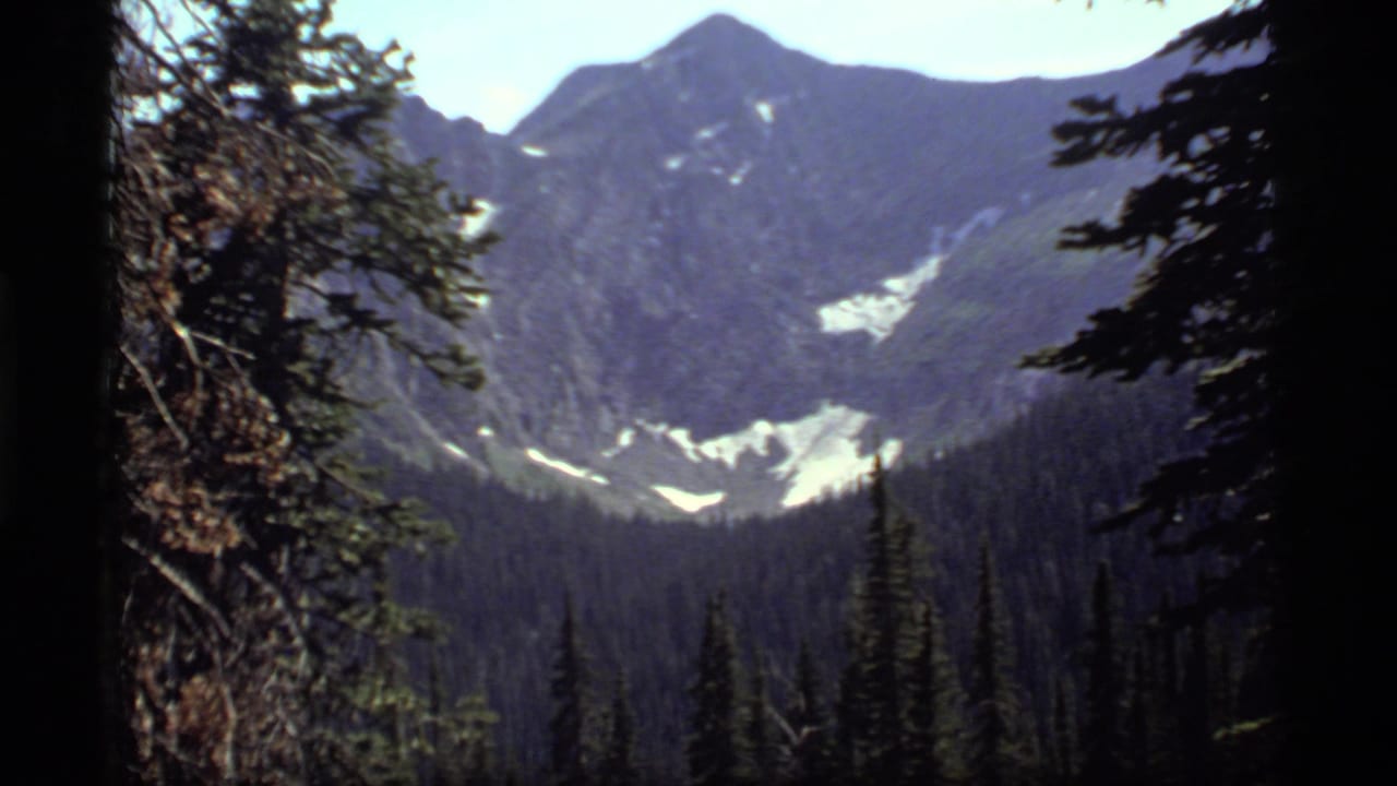 1977 Montana 8mm view of rugged mountain peaks with lingering snow, seen through evergreen forest.