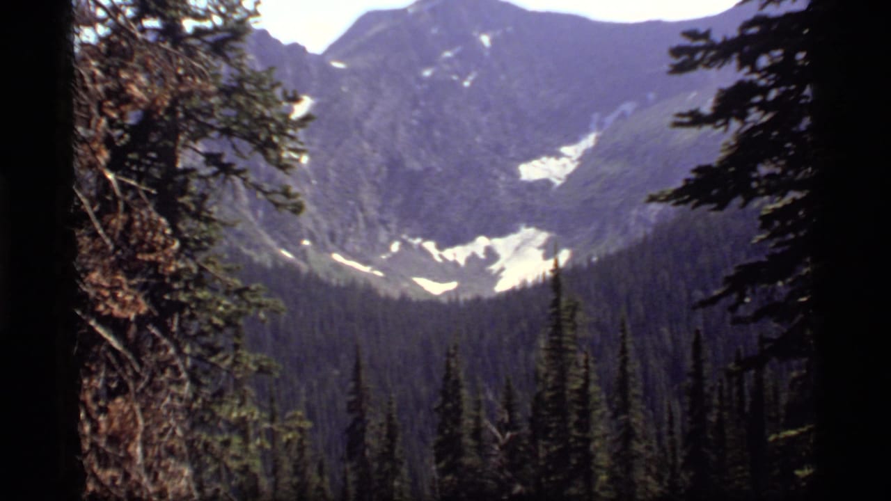 Mountain basin with snow patches above a dense evergreen forest.