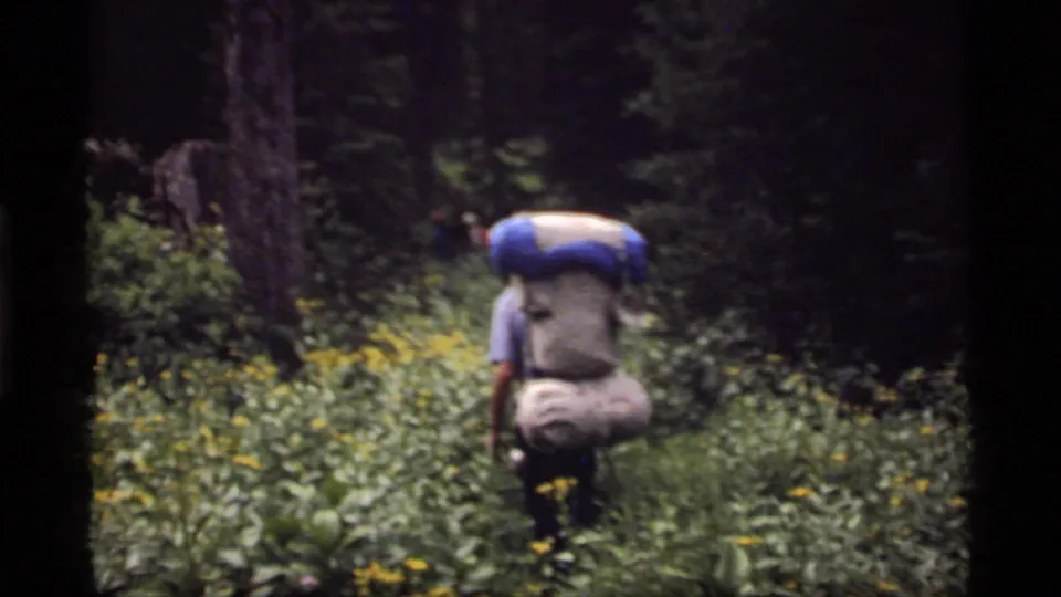 A hiker with a large backpack walks away through a green Montana forest trail in 1977 home-movie footage.