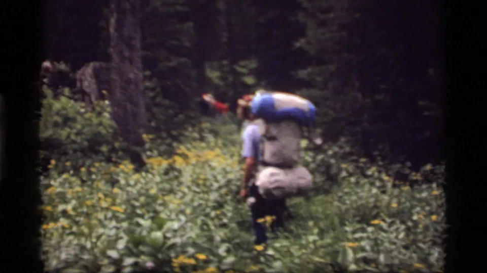 A backpacker continues along a shaded forest route, partly obscured by foliage in 1977 Montana 8mm footage.