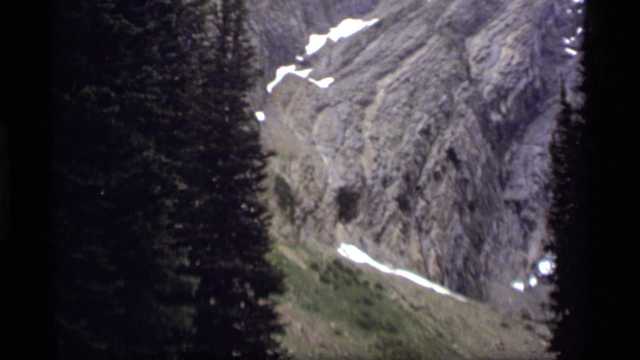 Tall dark pines stand against a rocky mountain wall with snow patches.