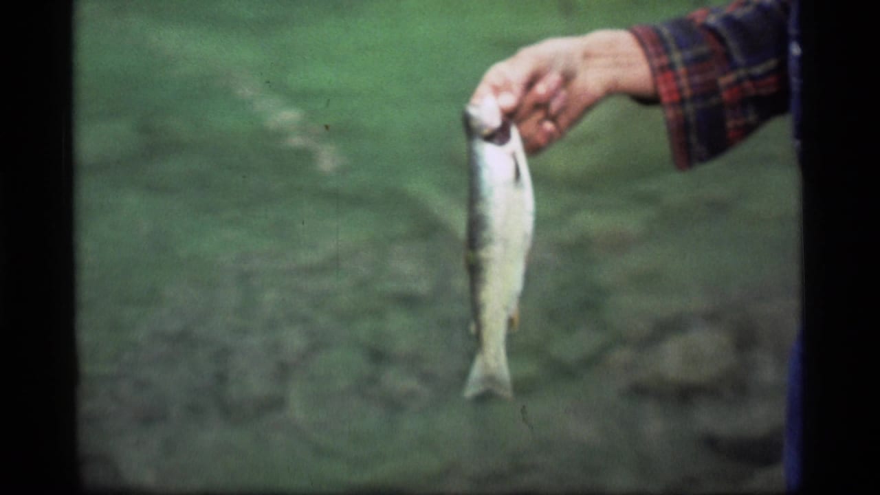 1977 Sapphire Lake home-movie frame showing a freshly caught fish held by a hand in a plaid shirt over green water.