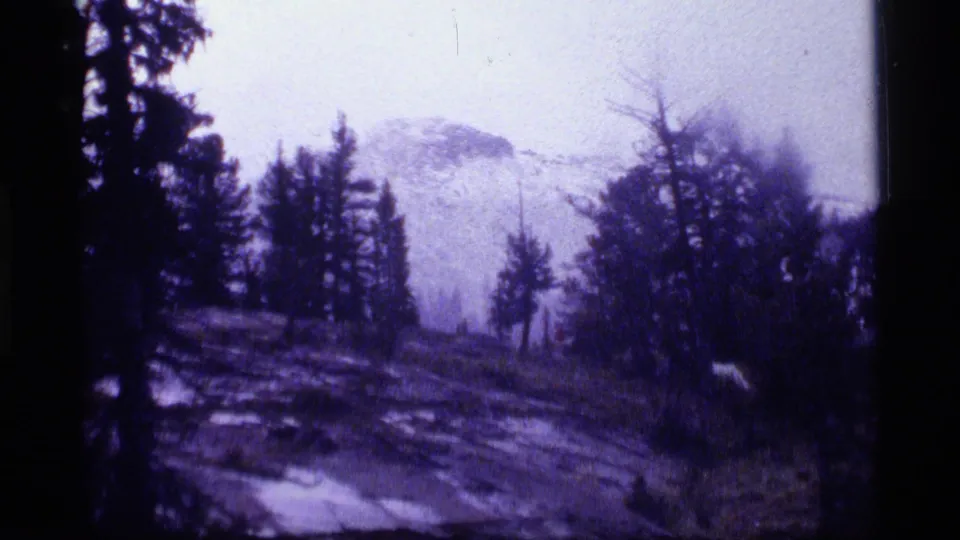1977 8mm Montana landscape with pines, wet rough ground, and a softly visible mountain through purple-tinted haze.