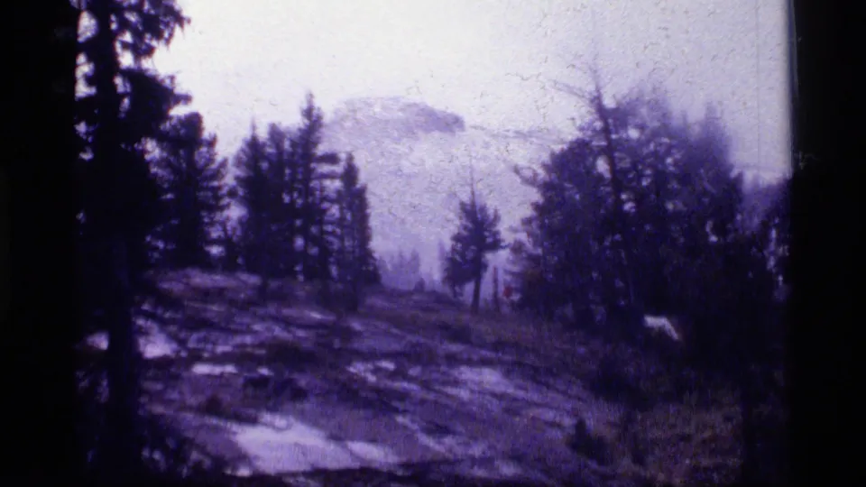 Purple-tinted 1977 8mm view of a Montana hillside with pines, rough foreground terrain, and a pale mountain beyond.
