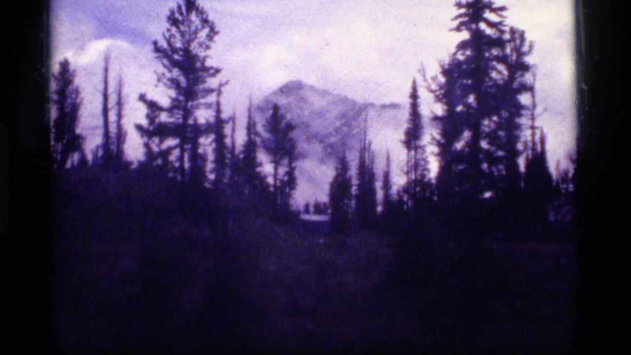 Evergreen silhouettes frame a foggy mountain under a pale sky.