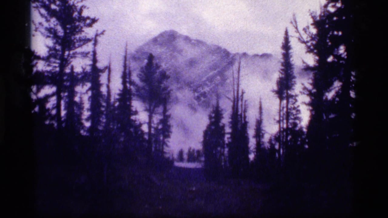 1977 8mm Montana footage shows silhouetted evergreens around a foggy mountain peak with a purple-blue cast.
