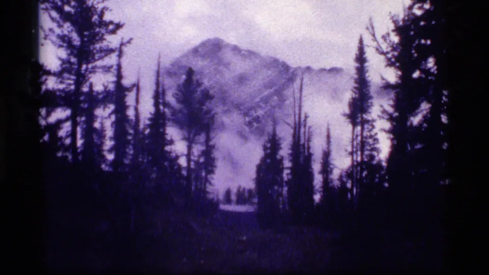 1977 8mm Montana footage shows silhouetted evergreens around a foggy mountain peak with a purple-blue cast.
