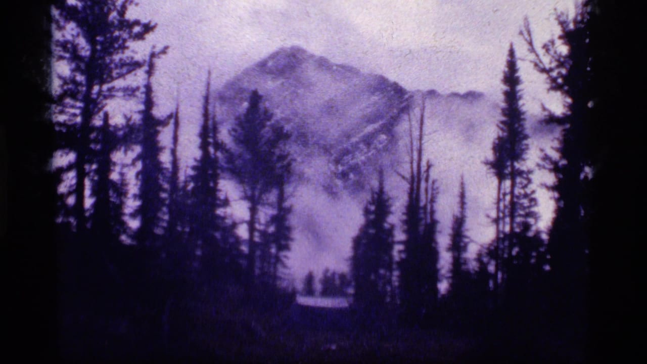 A similar forest-framed mountain view shows fog around the peak and dark tree trunks in front.