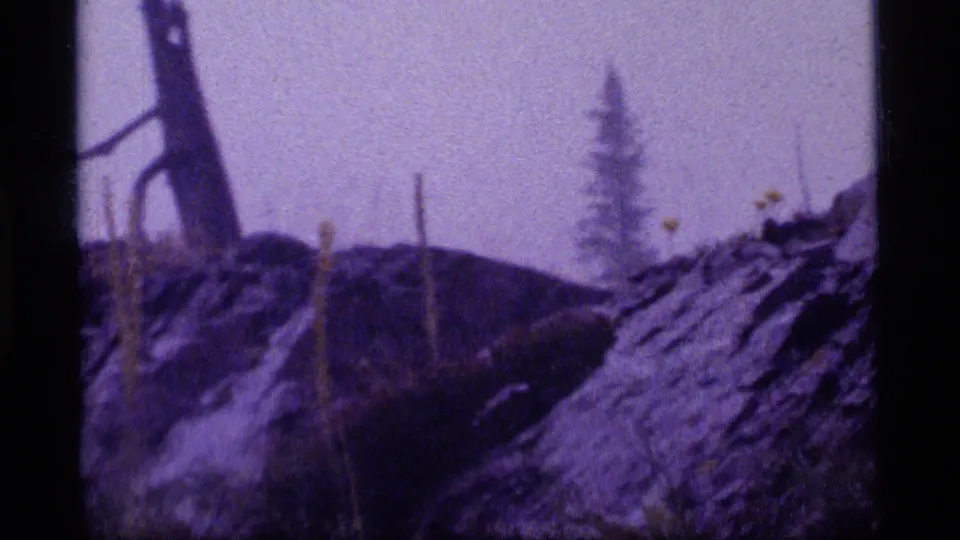 Rocky terrain and thin vegetation appear in soft purple 8mm color, with mist and evergreens in the background.