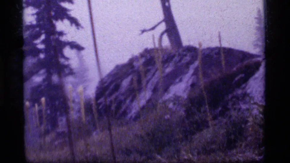 Purple-tinted 8mm frame of rocks, grasses, and leaning tree trunks in a foggy Sapphire Lake mountain landscape.