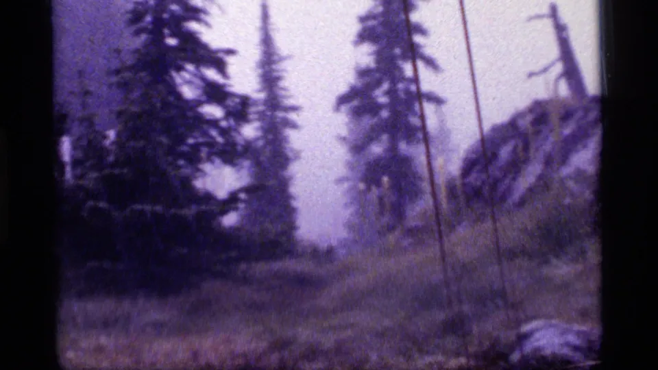 Sapphire Lake, Montana home-movie frame with conifers, spindly trunks, grasses, and a rocky slope fading into haze.