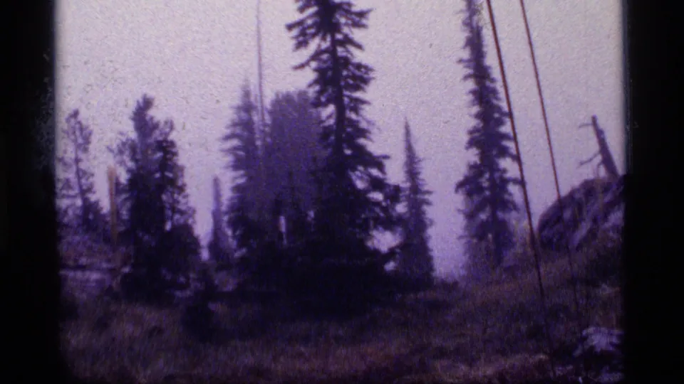 Wider Sapphire Lake, Montana forest frame showing pines, bare trunks, grass, haze, and a rocky slope within dark 8mm borders.