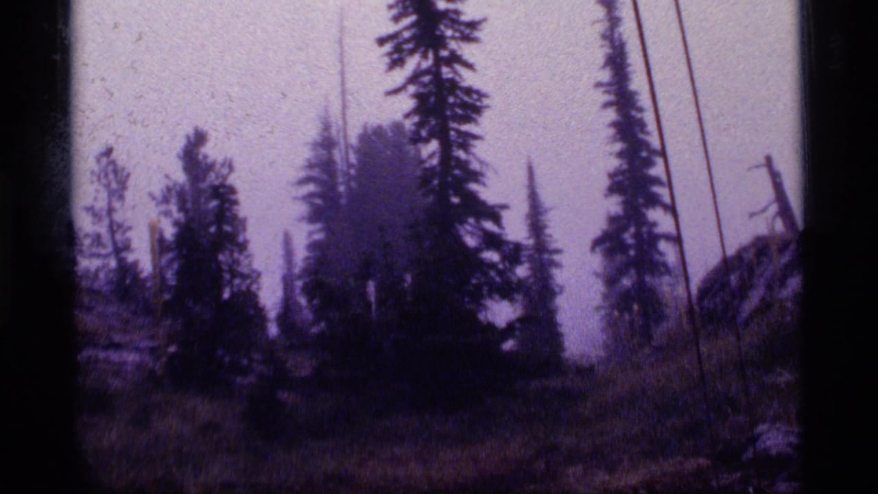 1977 8mm view at Sapphire Lake, Montana, showing tall evergreens in a misty wet clearing.