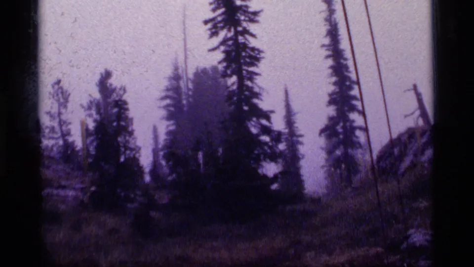 1977 8mm view at Sapphire Lake, Montana, showing tall evergreens in a misty wet clearing.