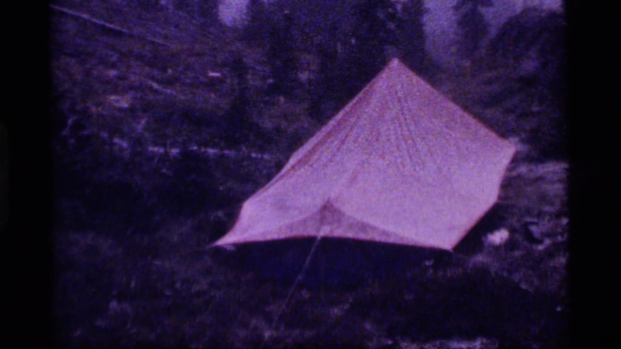 Red tent pitched among dark trees and wet ground.