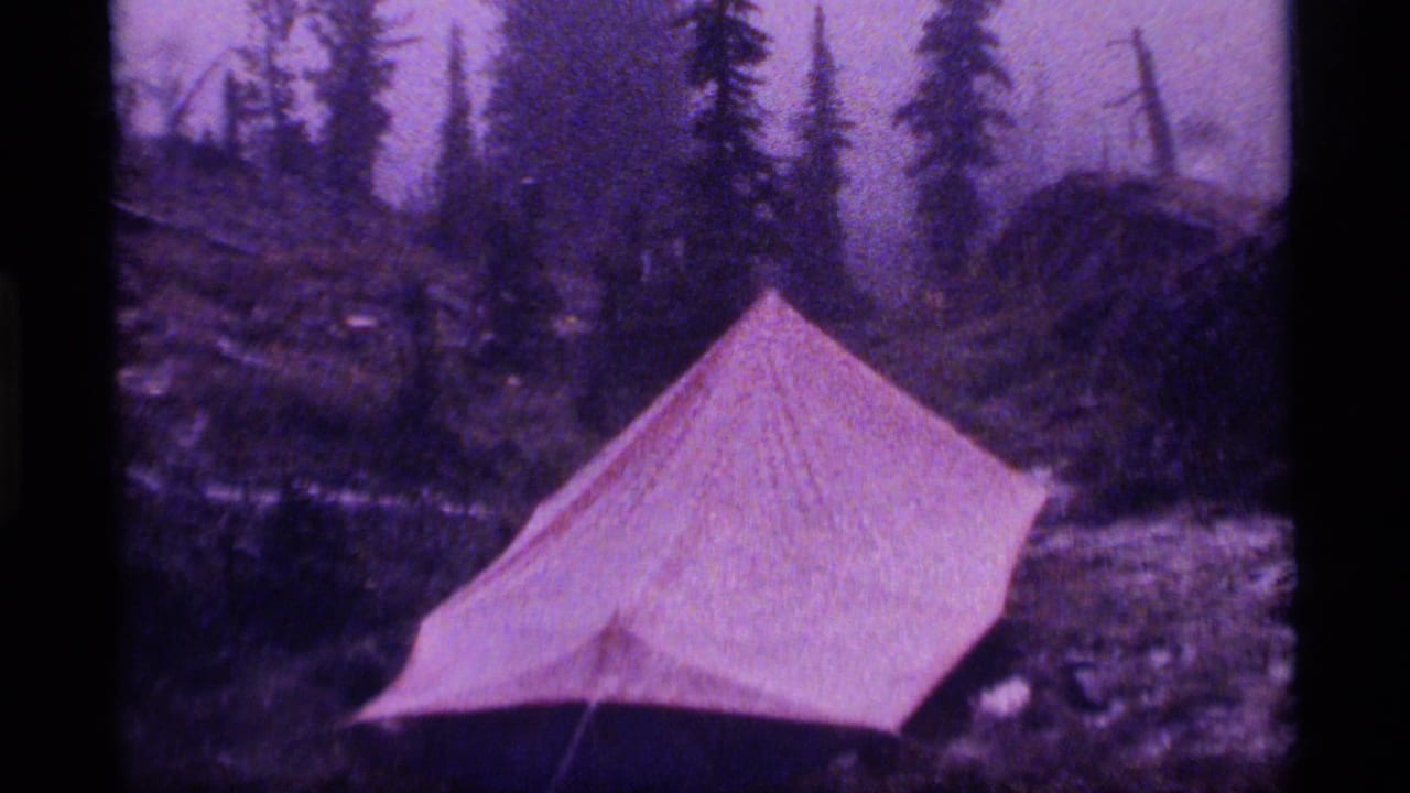 1977 8mm frame from Sapphire Lake, Montana showing a pale tent in damp evergreen woods with purple film color shift.