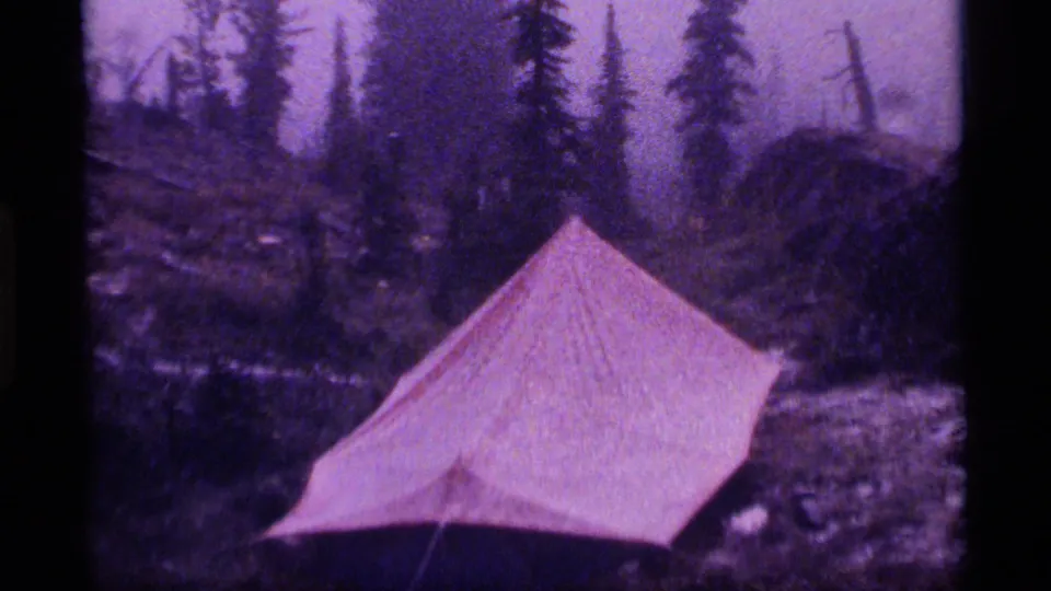 1977 8mm frame from Sapphire Lake, Montana showing a pale tent in damp evergreen woods with purple film color shift.