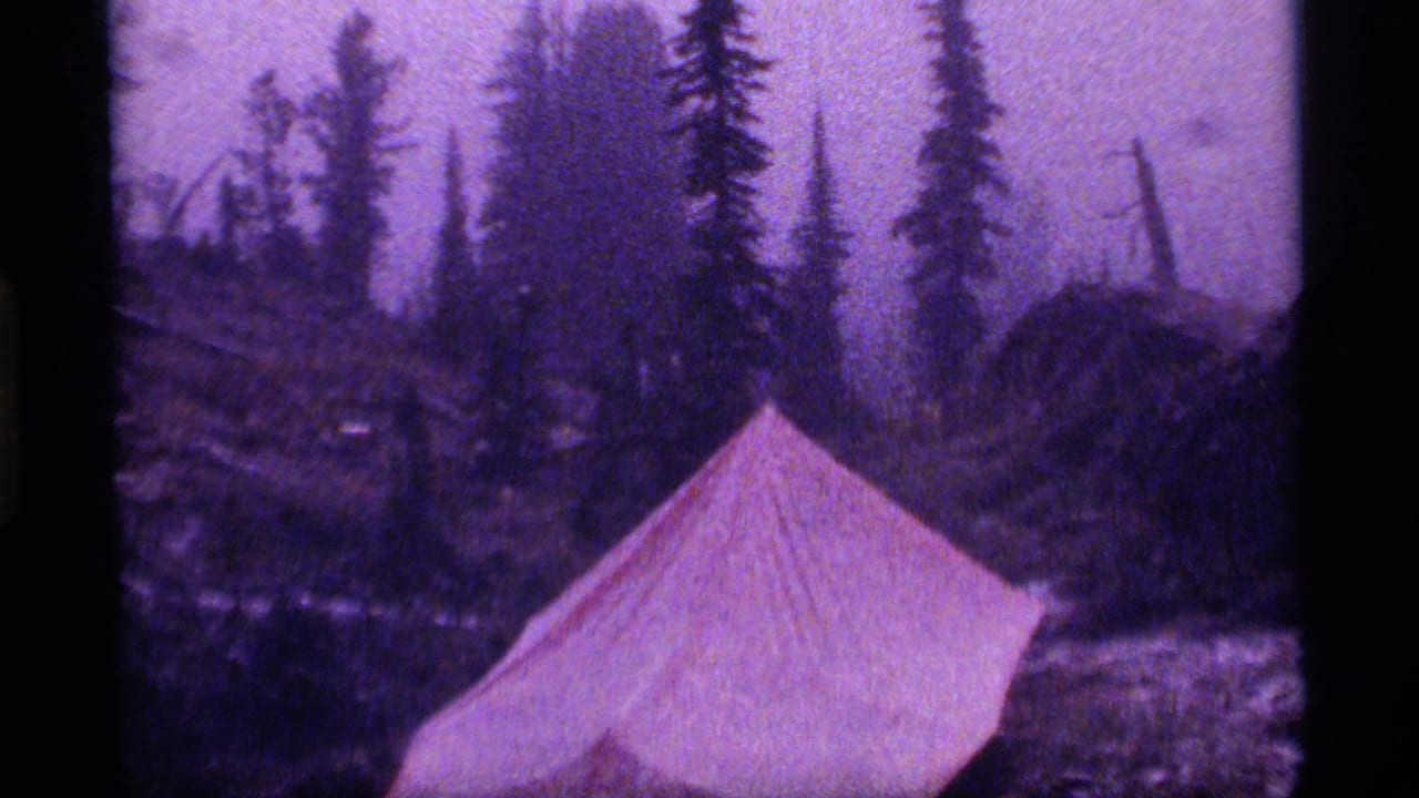 Tent roof and evergreen trees seen through soft purple-tinted film grain.