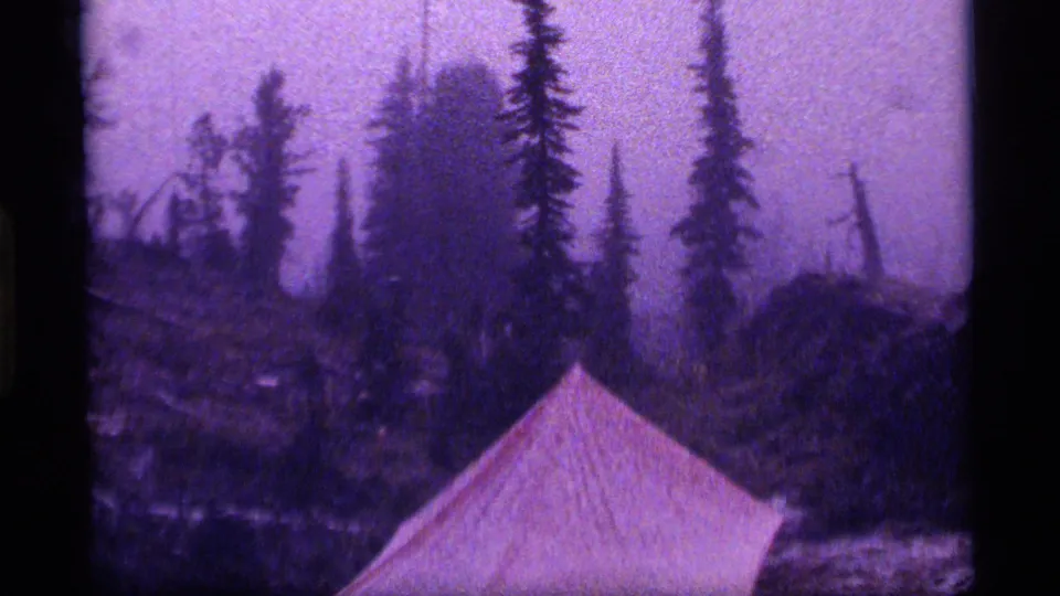 Sapphire Lake camping footage shows a tent in a wet forest clearing, with tall conifers and strong purple 8mm color shift.