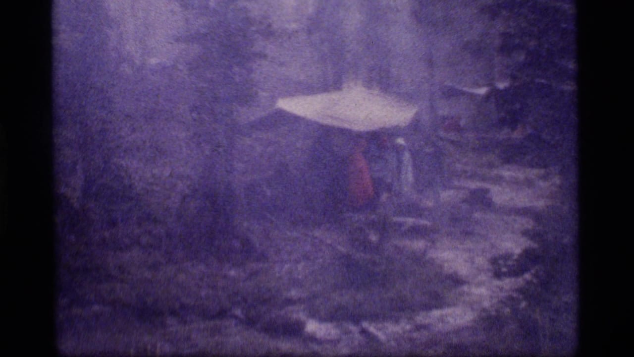 Snowy wooded campsite with a pale shelter and dark forms near trees in low visibility.