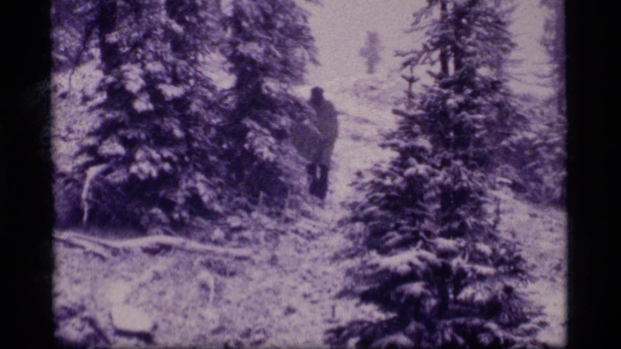 A bundled adult walks through a snowy evergreen forest in Sapphire Lake, Montana, in 1977 home-movie footage.