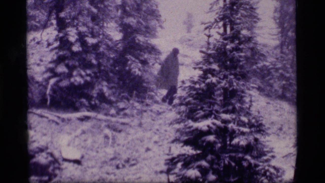 The adult figure continues through the snow-covered forest, partly obscured by soft focus and 8mm grain.